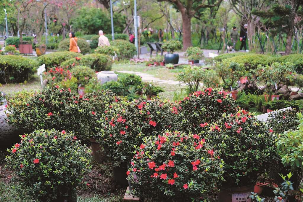 台北畫刊106年4月第591期—杜鵑花大使　翁滋蔓　全心投入堅持做自己