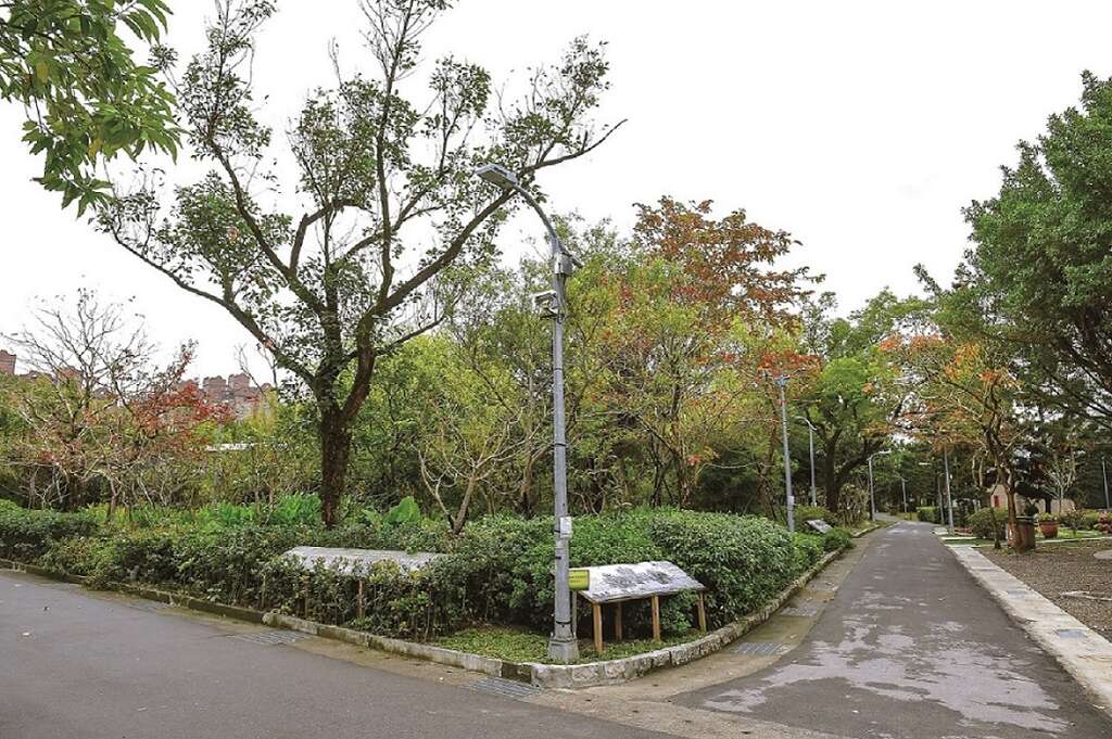 台北畫刊106年4月第591期—追尋螢光記憶　夢想實現　棲地改善再營造生態復育大成功