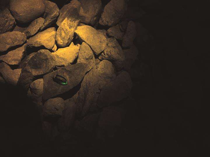 After a long process of restoration, signs of fireflies have appeared in Taipei again. (Photo: Wang Yijie)