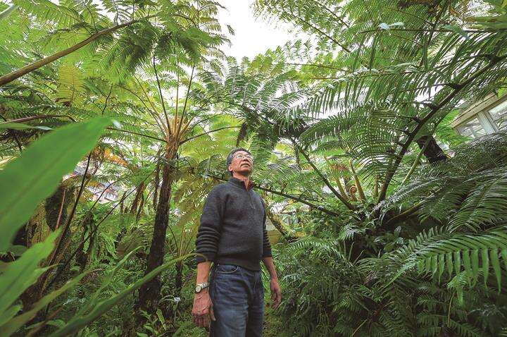 Guo looks forward to seeing fireflies twinkling in Taipei again, creating an Ecotherapy city with a vibrant ecology. (Photo: Huang Chienpin)