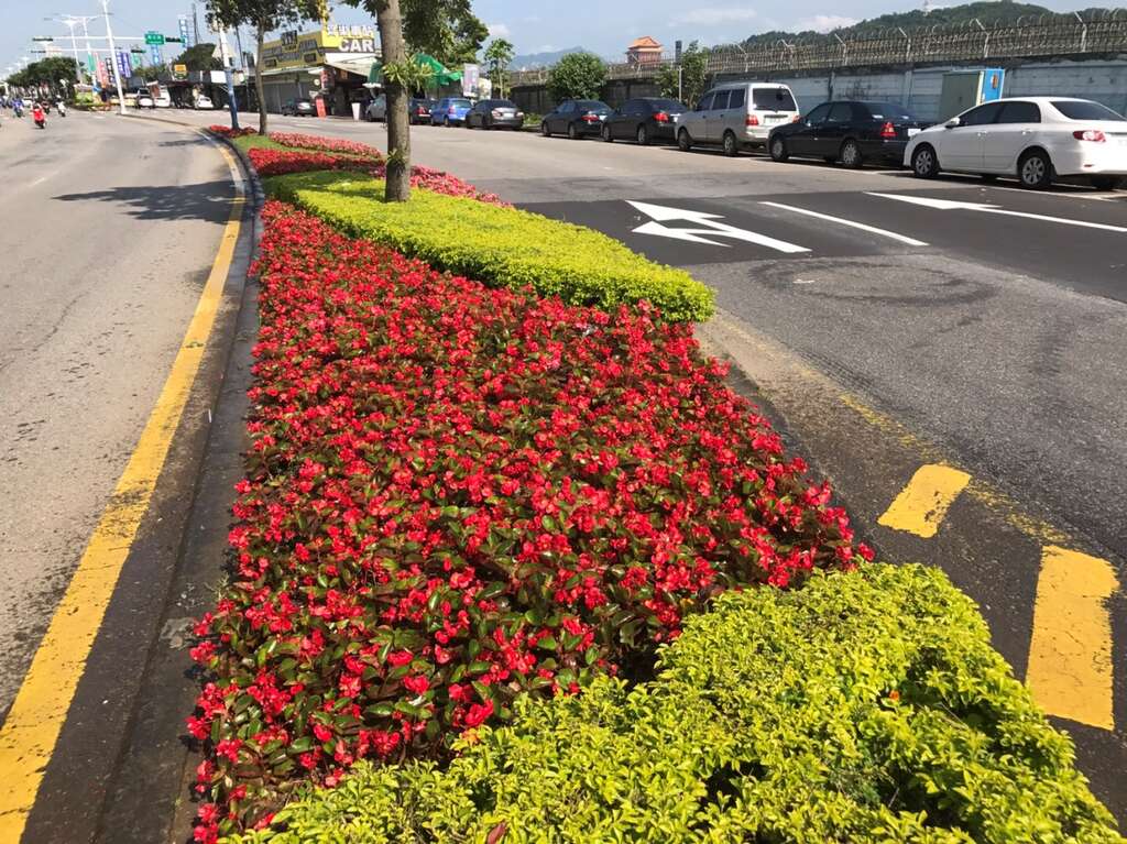 民族東路上色彩拼貼花壇，層次豐富對比的草花，延伸道路的開闊感。