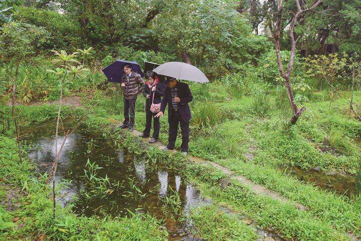 公園ボランティアに栄星花園公園の生態再生池の解説をする楊平世教授（右１）。（写真／黄建彬）