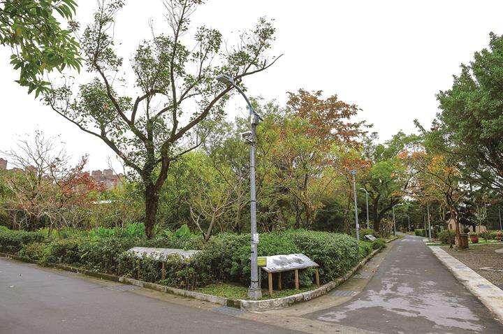 大安森林公園にあるLED 街灯はホタルへの害を減らすことができます。（写真／黄建彬）
