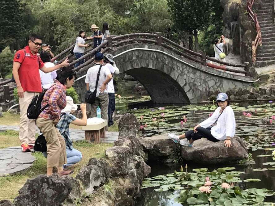 圖4.現已吸引許多遊客佇足與美麗的蓮花合影