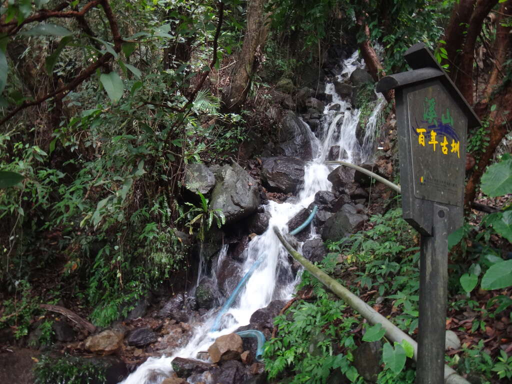 照片7 水圳步道终点落瀑水量充足 拍打叠石上造成声响。