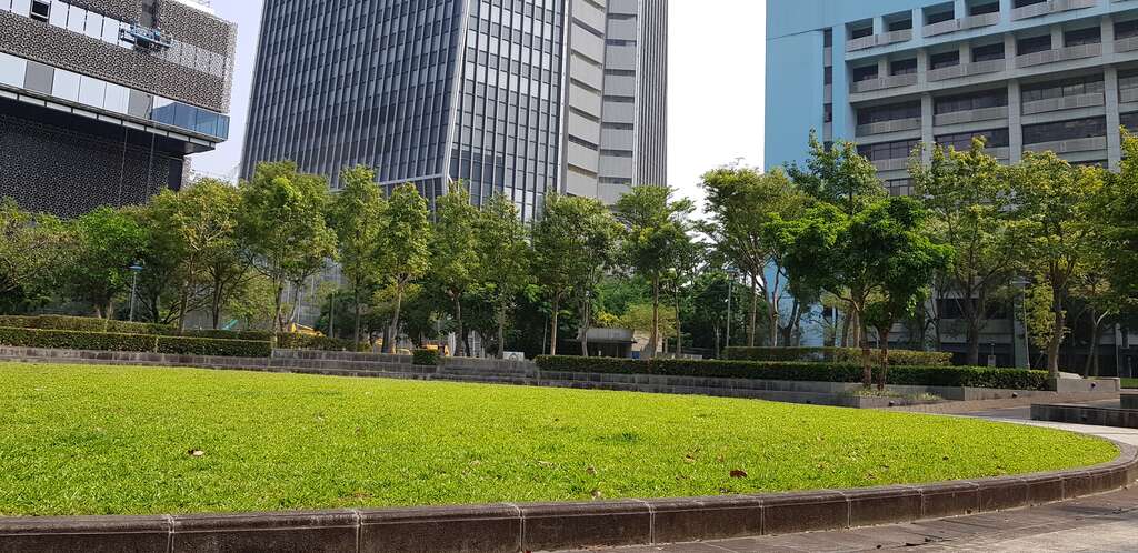 图1. 信义广场美丽的大草坪