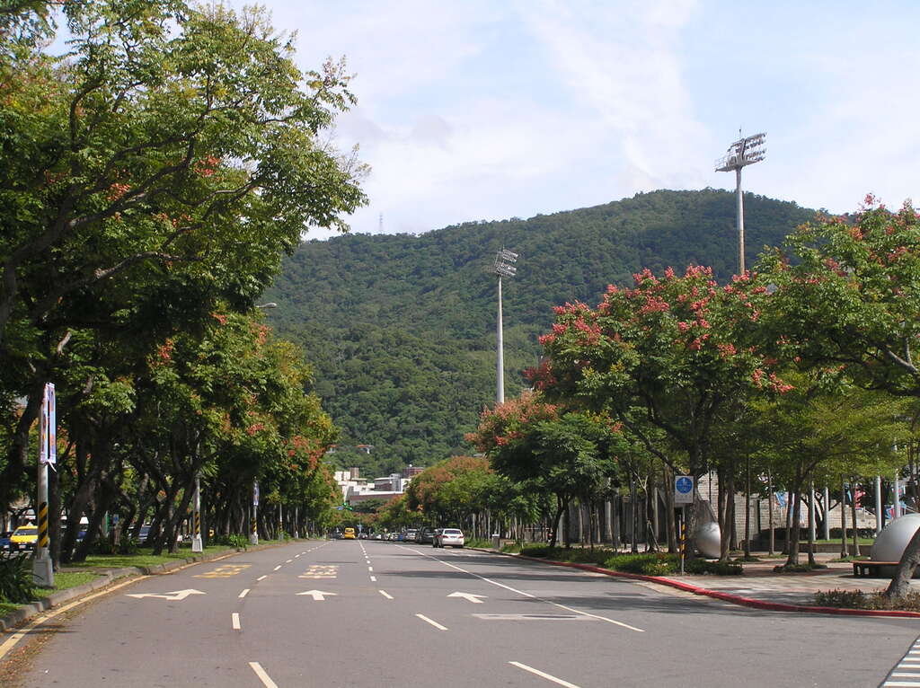忠诚路