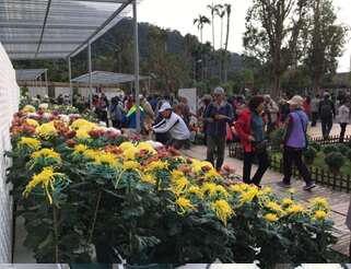 2017士林官邸菊展C.K.S. Shilin Residence Chrysanthemum Show