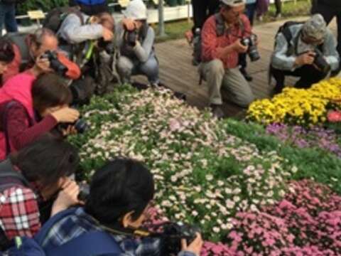 2017士林官邸菊展C.K.S. Shilin Residence Chrysanthemum Show