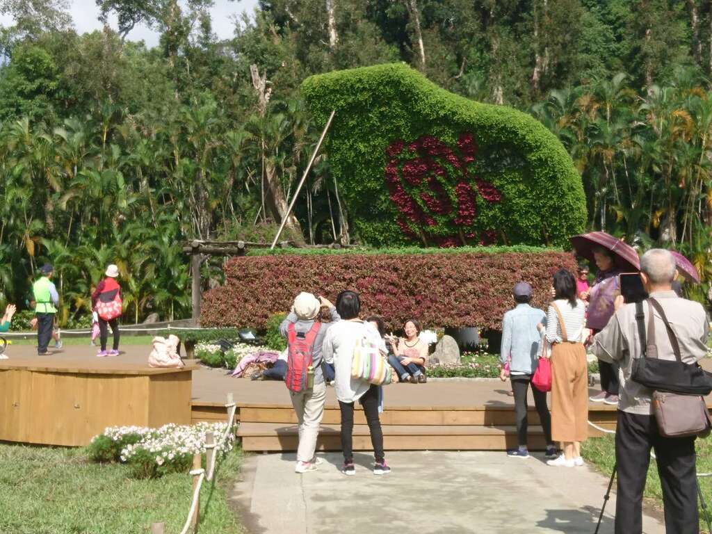 鋼琴綠雕廣受民眾歡迎