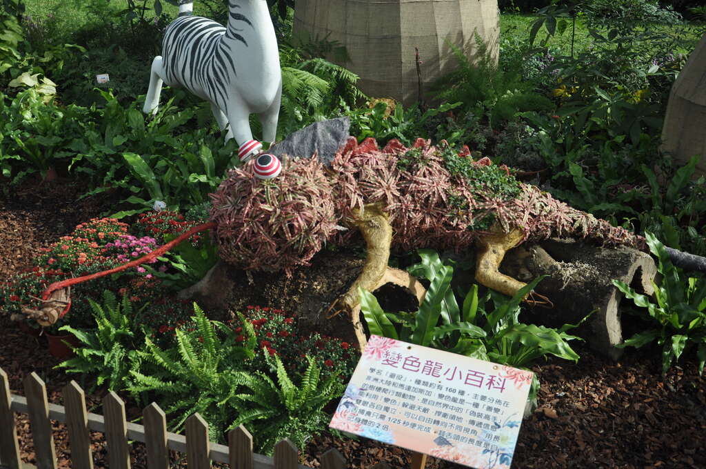 图3.有看到变色龙吗？
