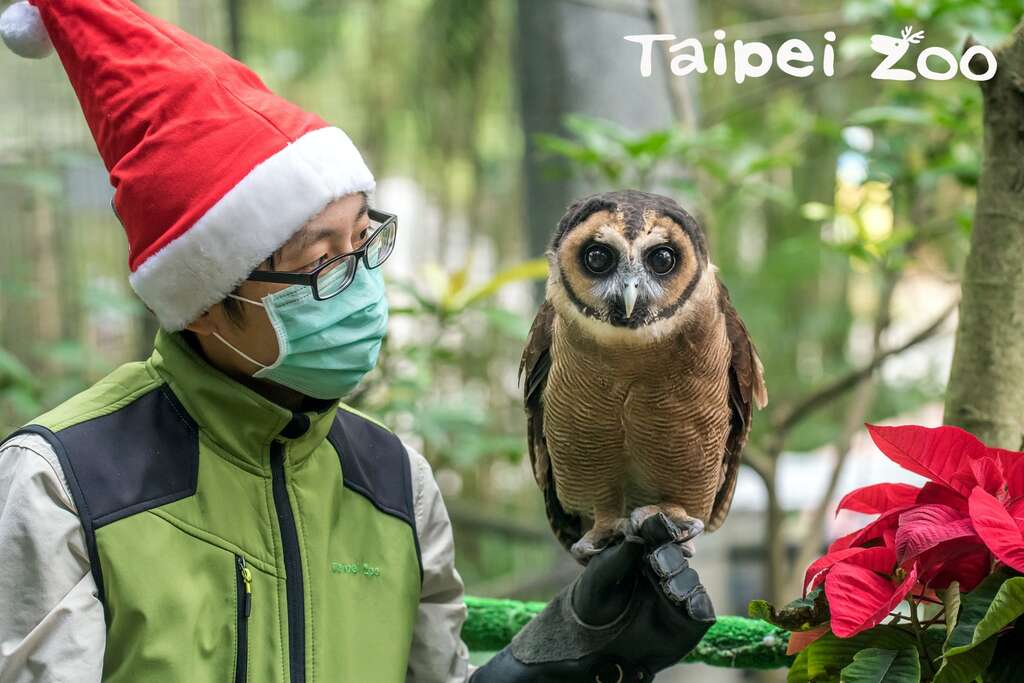 動物聖誕嚐美味~兼顧環保不浪費！