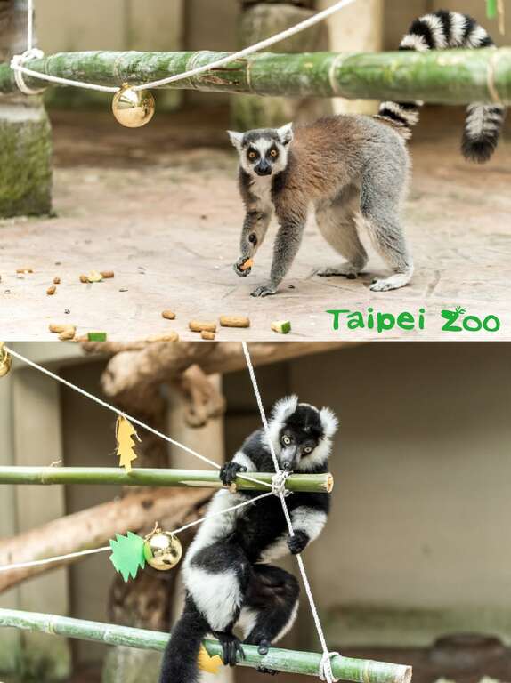 動物聖誕嚐美味~兼顧環保不浪費！