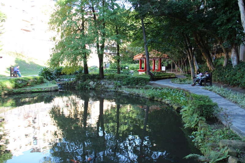 天母發現綠寶石 天和及東和公園與生態共舞