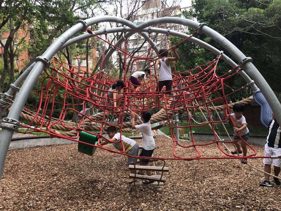 天母發現綠寶石 天和及東和公園與生態共舞