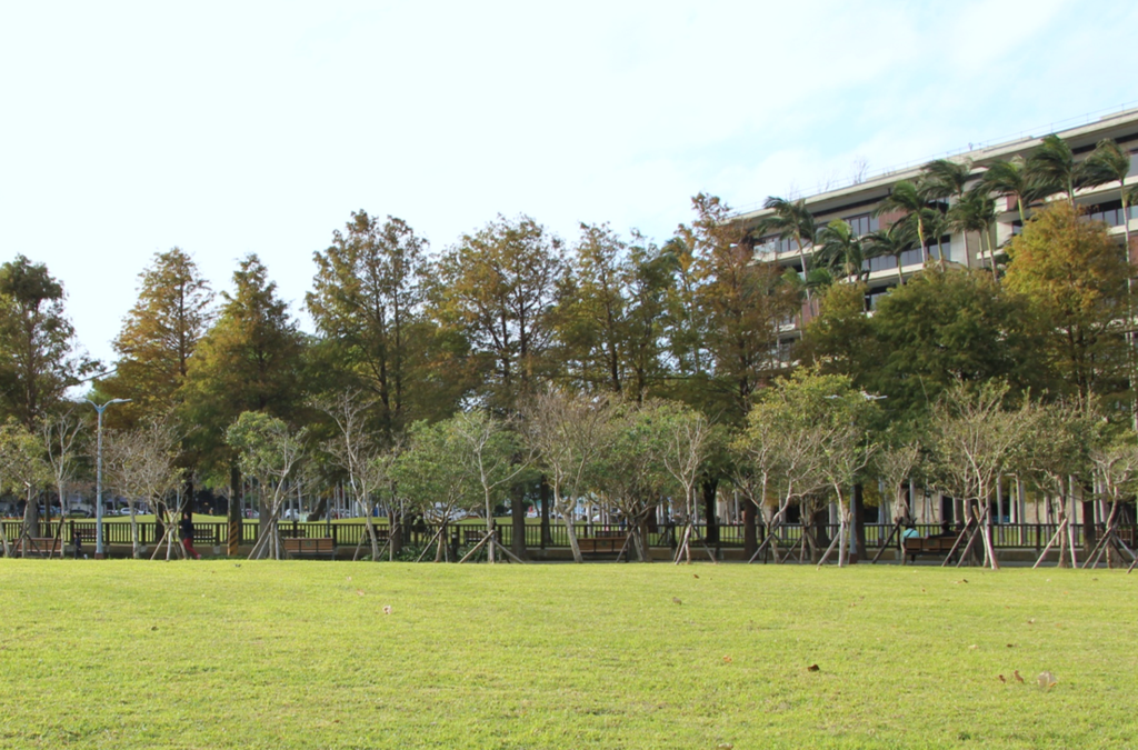 图1.士林官邸公园靠中山北路侧拥有美丽的落羽松群及大片草皮