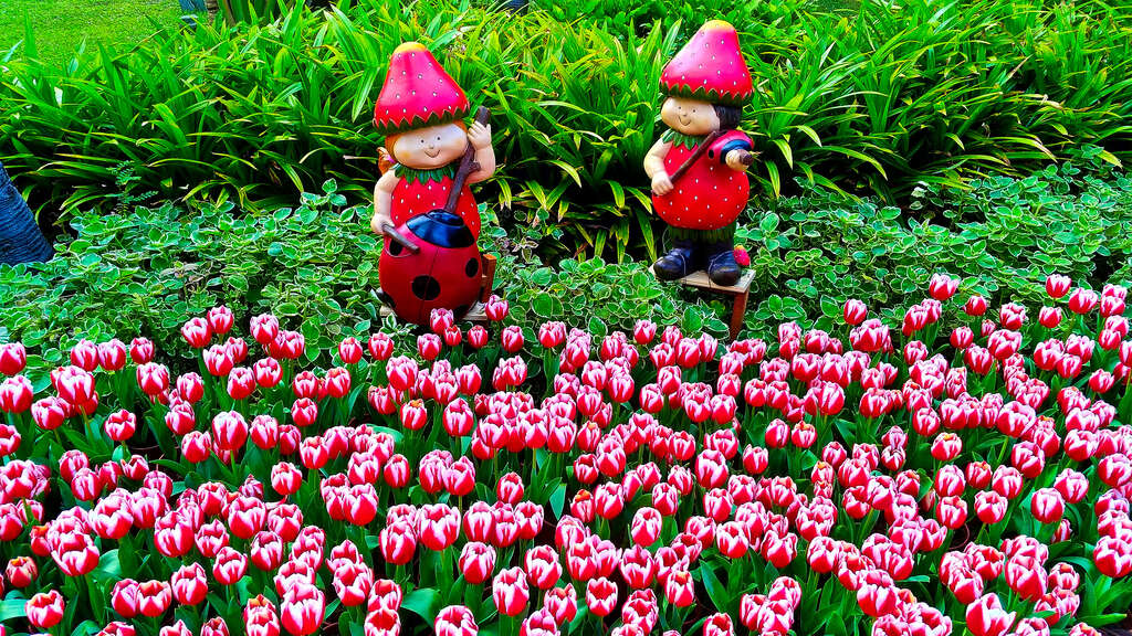 2018 CKS Shilin Residence Tulip Show to Kickoff February 13