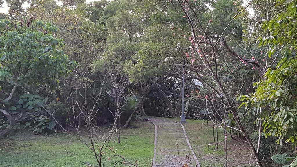 春节轻登山 北市首选140高地公园