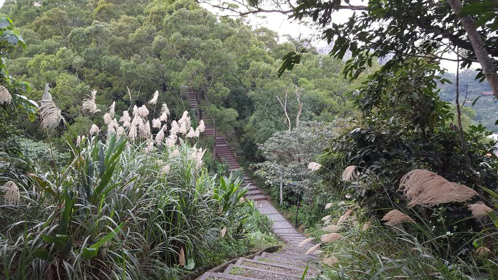 春节轻登山 北市首选140高地公园