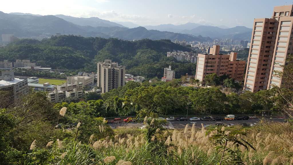 春节轻登山 北市首选140高地公园