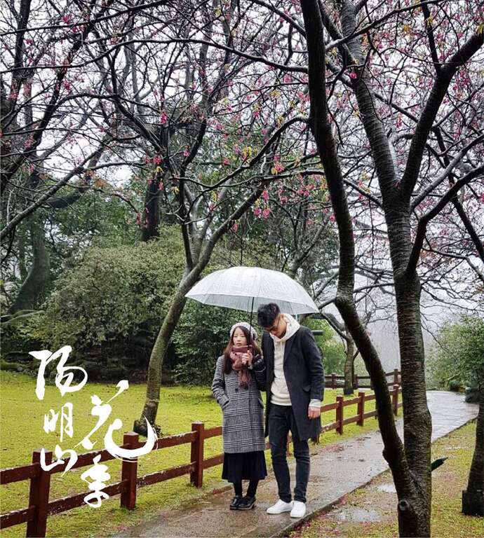 2018陽明山花祭り Yang Ming Shan Flower Festival