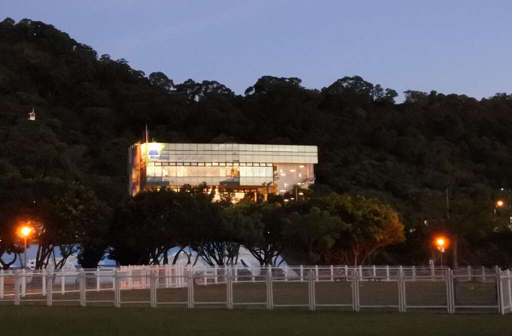 狗年「行」大運，過年必帶毛小孩到狗運動公園走春