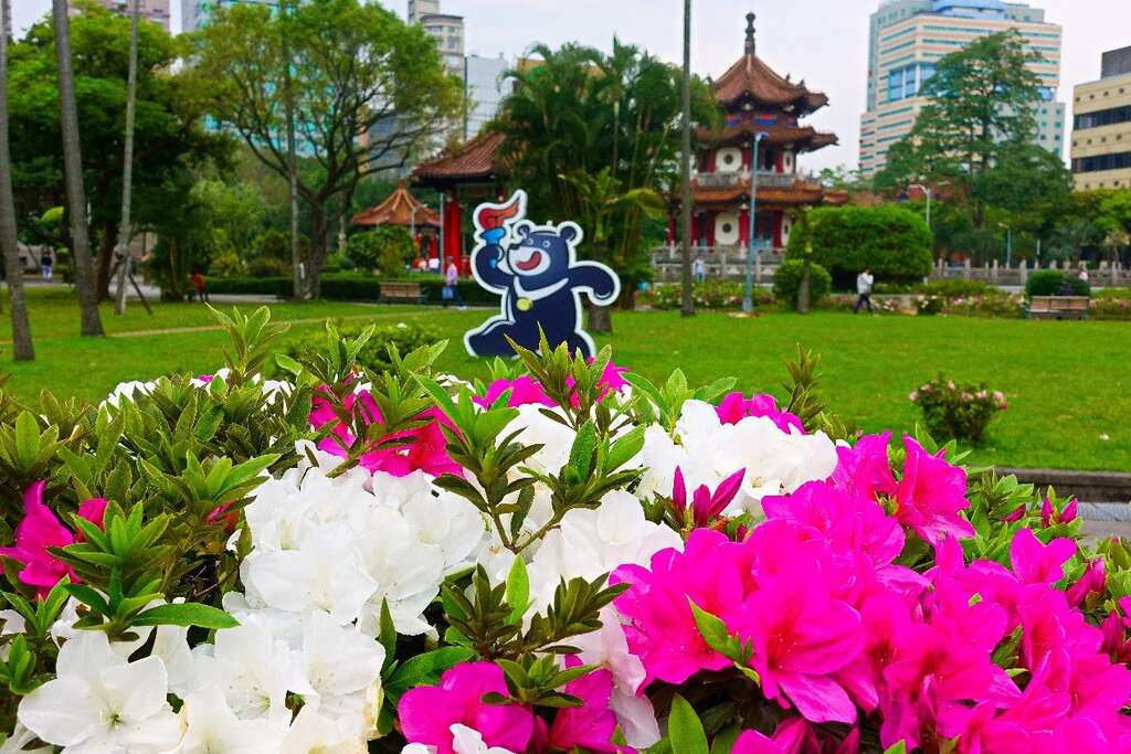 2018台北杜鵑花季 打卡地點特搜