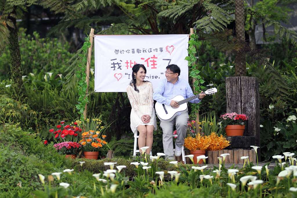 2018竹子湖海芋季