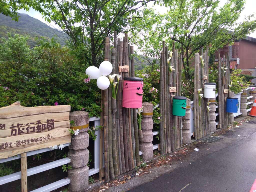 2018竹子湖海芋季