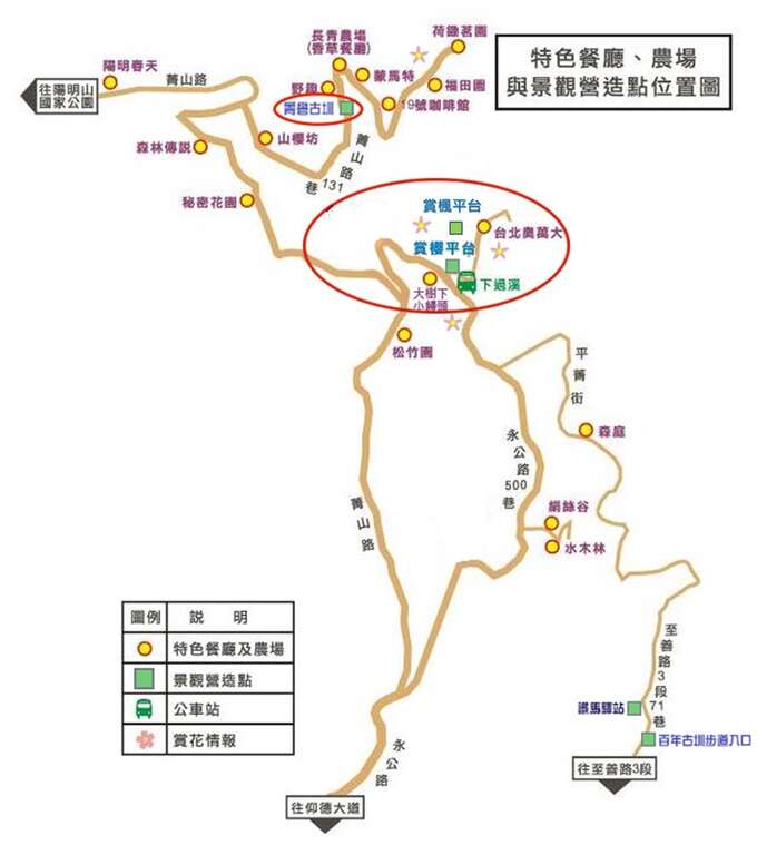 森林疗癒正夯　士林菁山赏槭红纾压