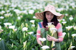 台北畫刊568期—初夏的山中散步芋戀道