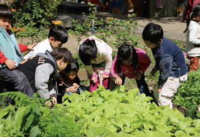 台北畫刊104年4月第567期—打造健康田園城市，社區學校齊步走