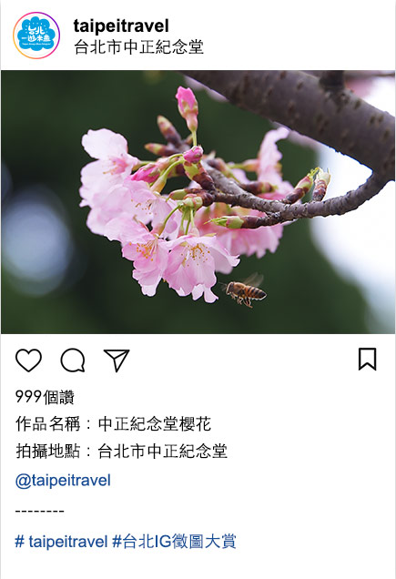 投稿示意作品3