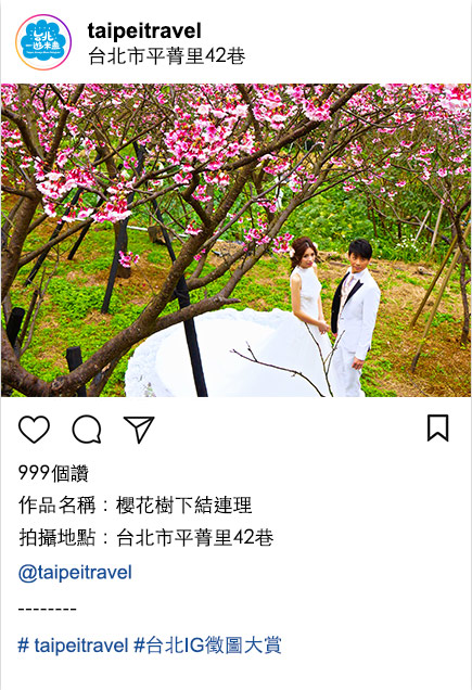 投稿示意作品4